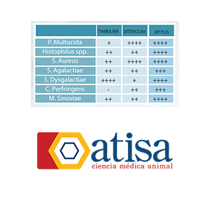 atp-plus2